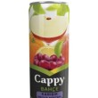 CAPPY (ŞEFTALİ,VİŞNE,KARIŞIK)